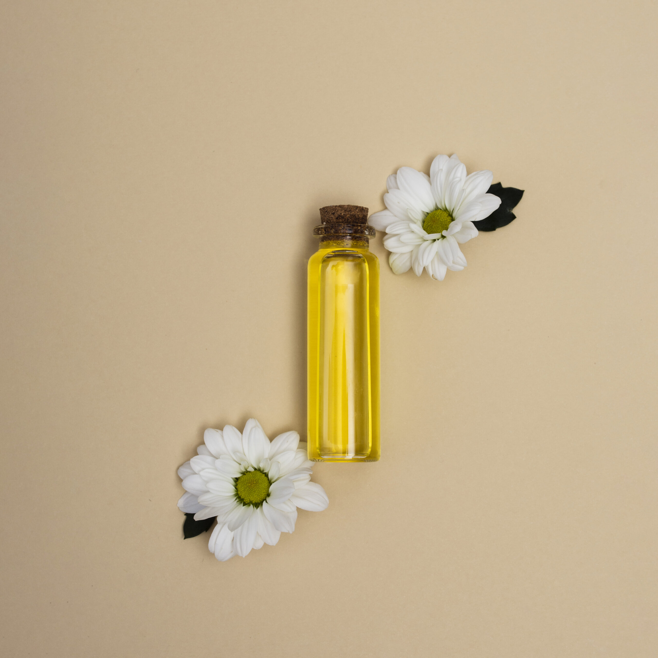 Chamomile oil