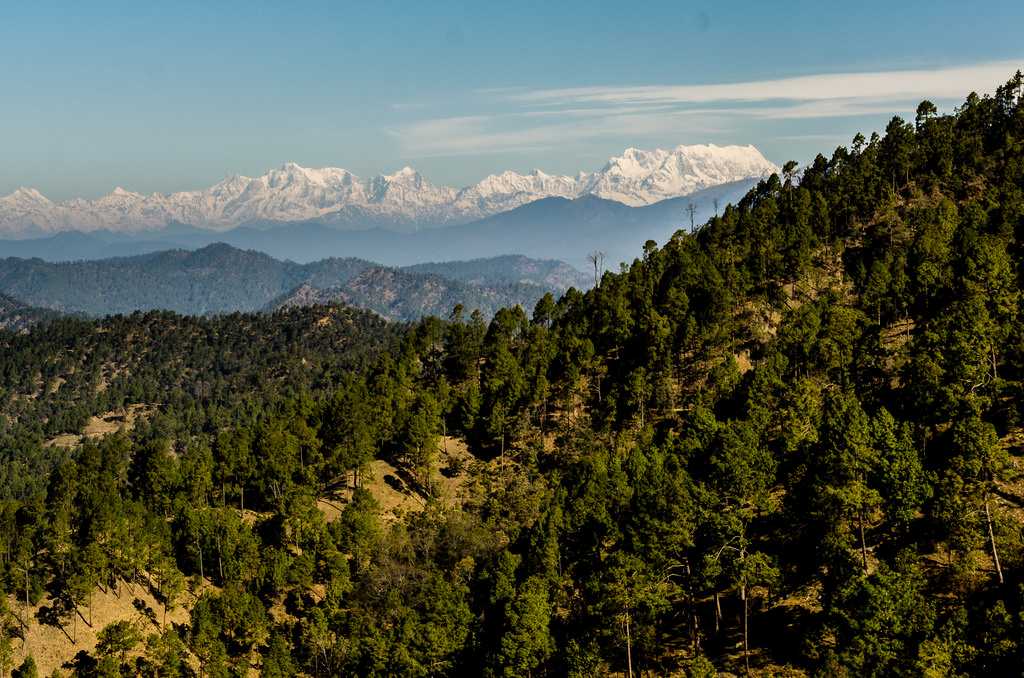 Binsar Wildlife Sanctuary 