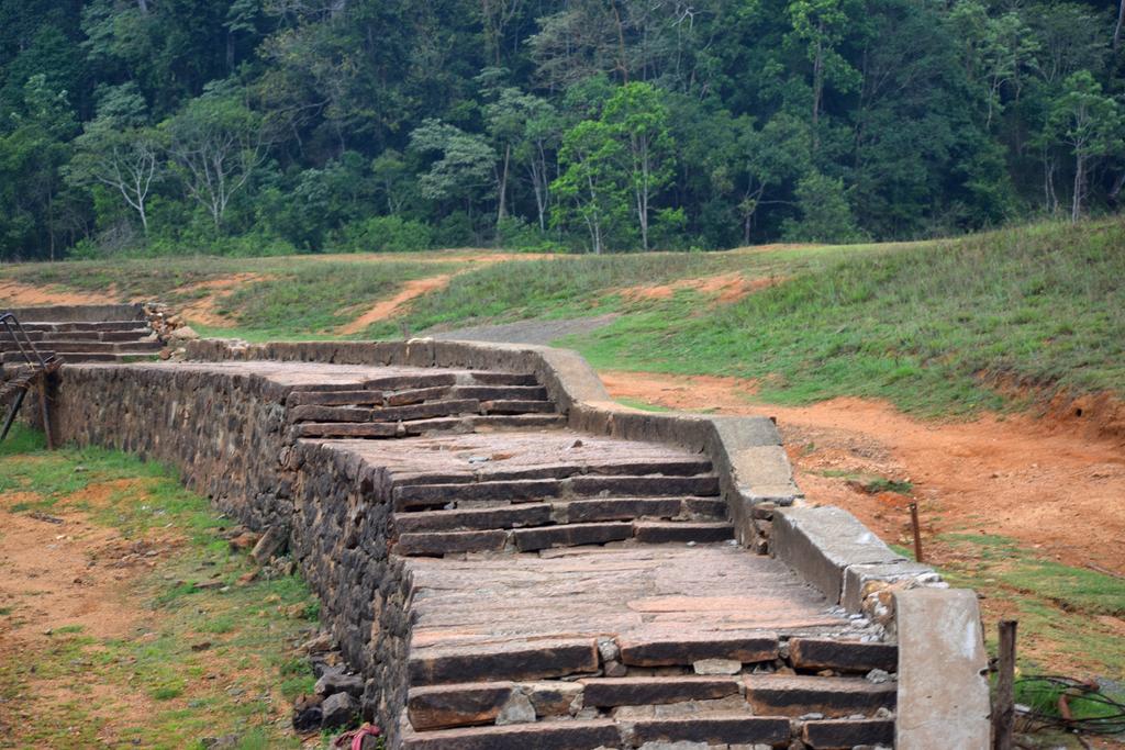  Periyar National park