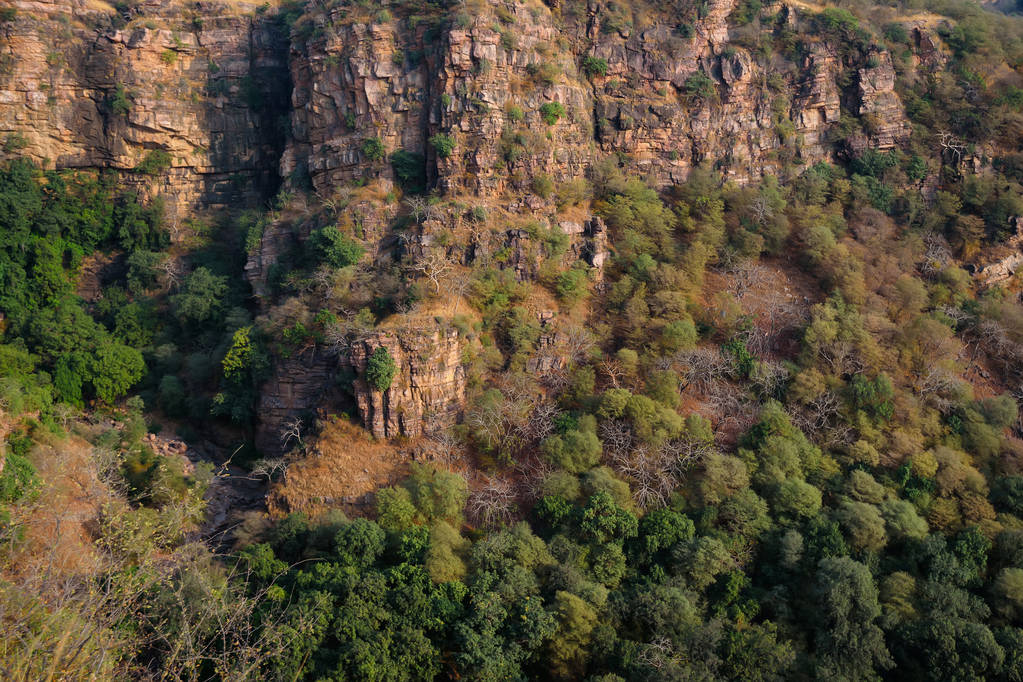 Landscape of Ranthambore