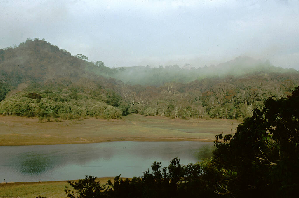 Boat Ride on The Periyar Lake 