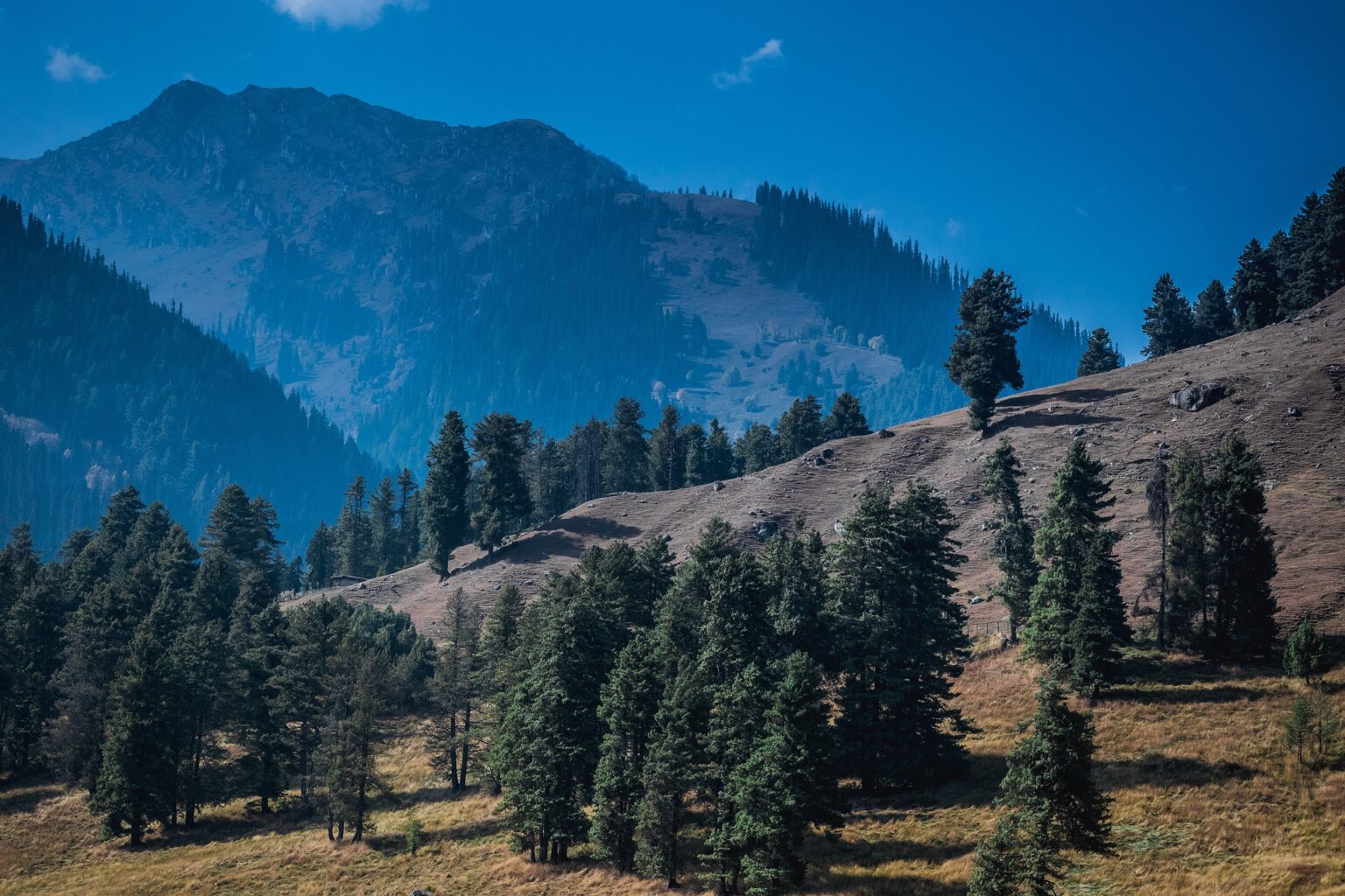 Valley of Colours in Pahalgam, Kashmir