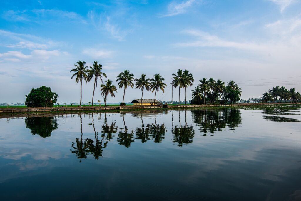 Kerala's Backwaters