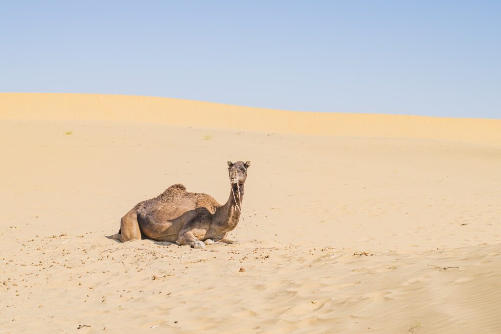 jaisalme