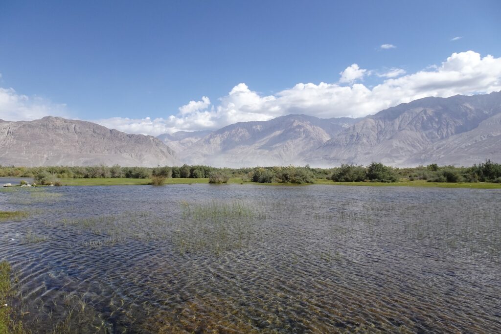 Nubra Valley