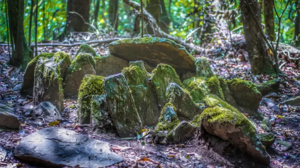 mawphlang sacred forest