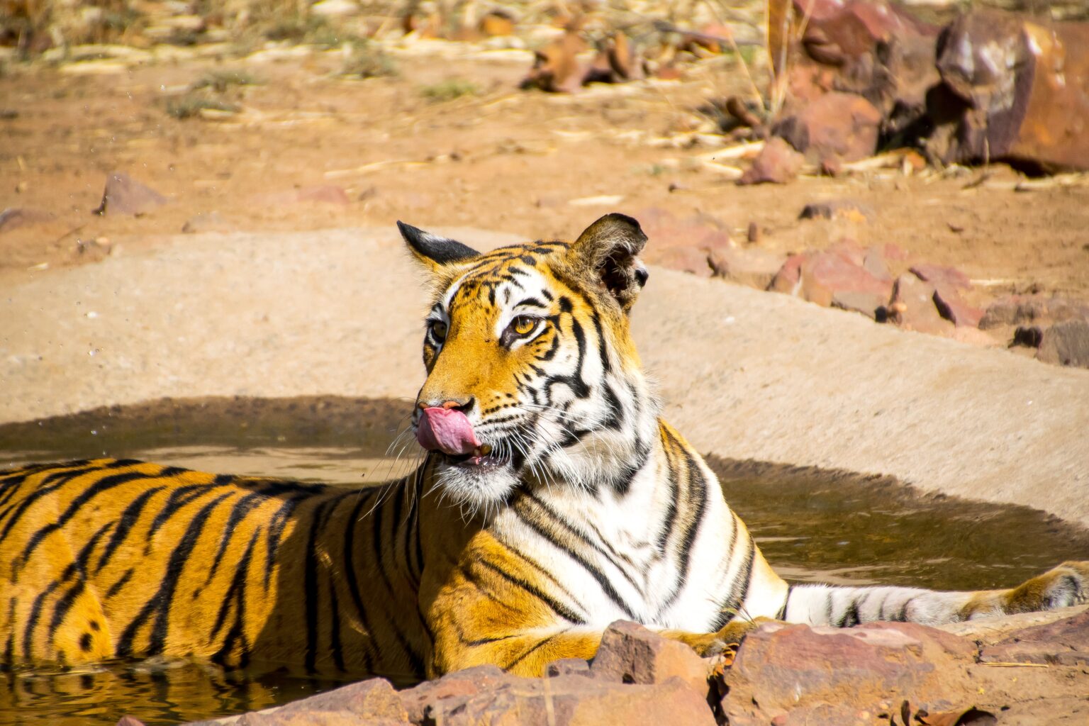 Bandhavgarh National Park