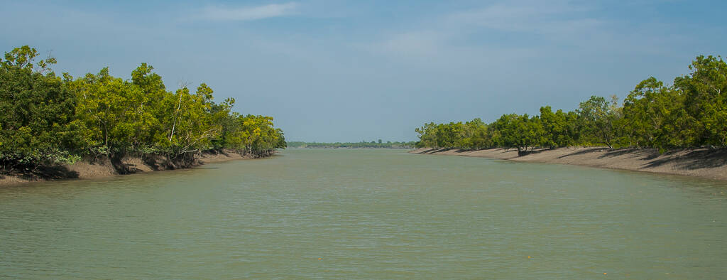 Sunderbans National Park