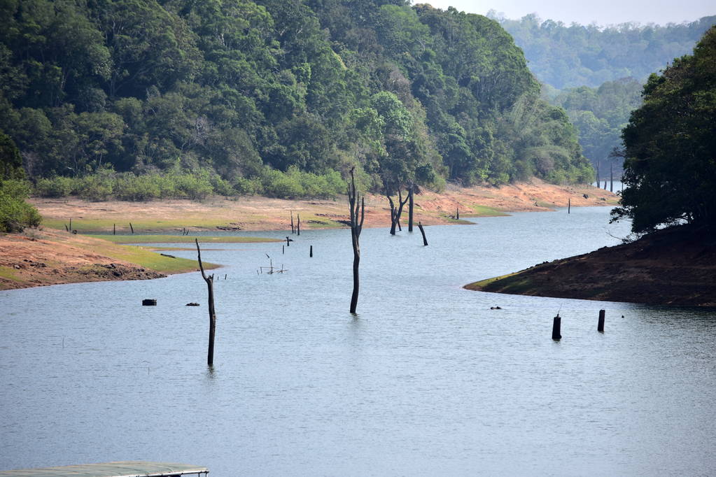 Wildlife at Periyar National Park