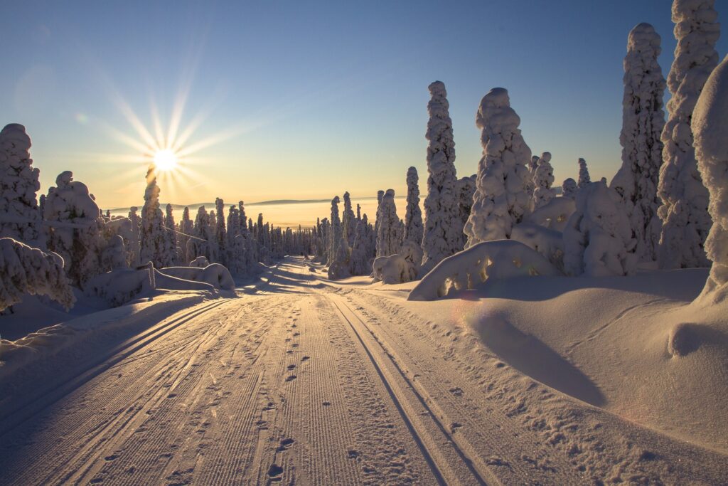 Wilderness of Lapland