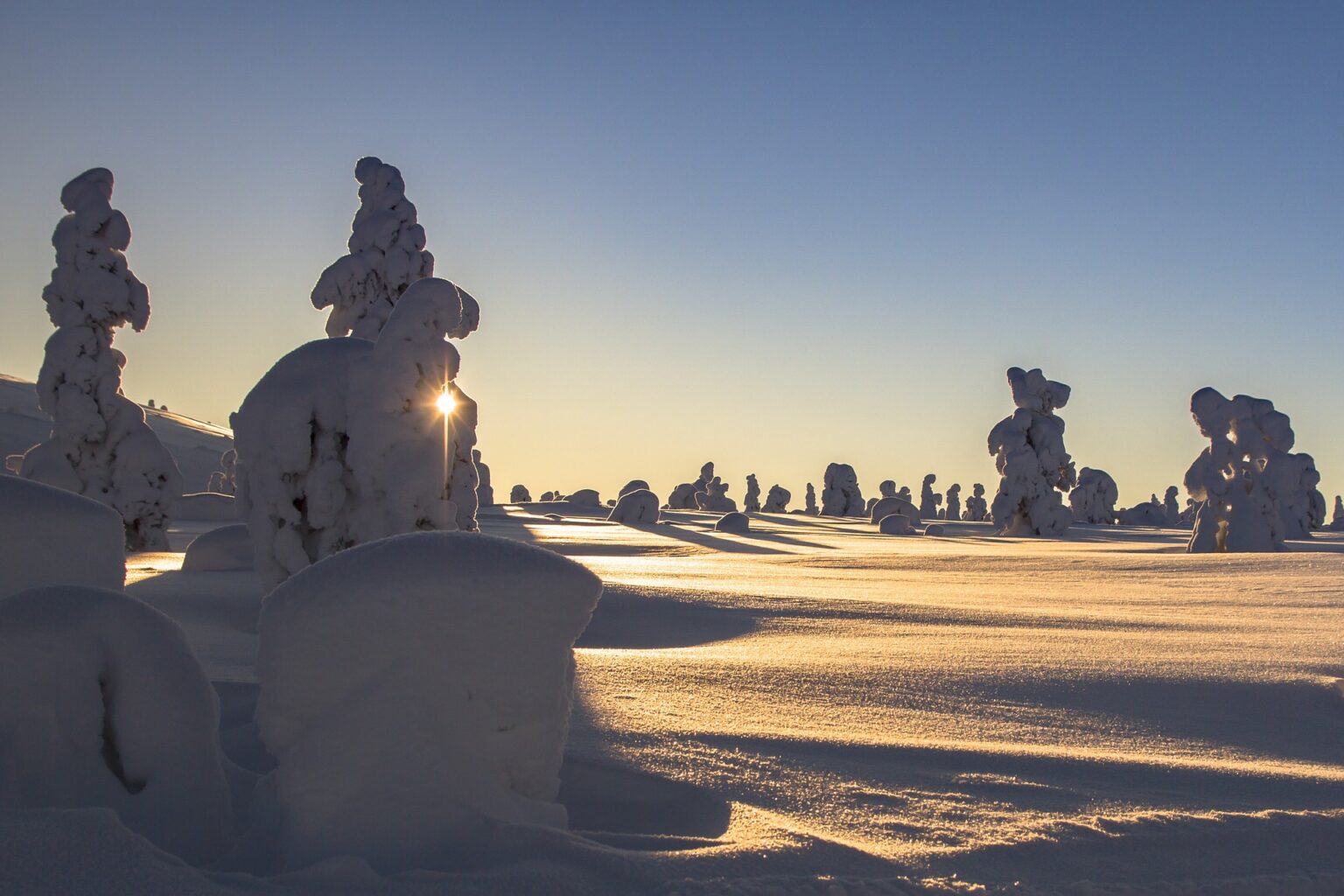 Wilderness of Lapland