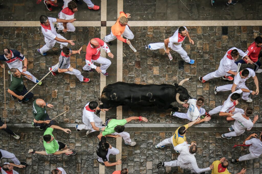 Bulls in Pamplona