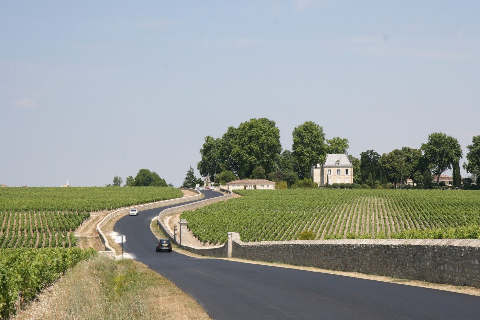 Vineyards of Bordeaux, France