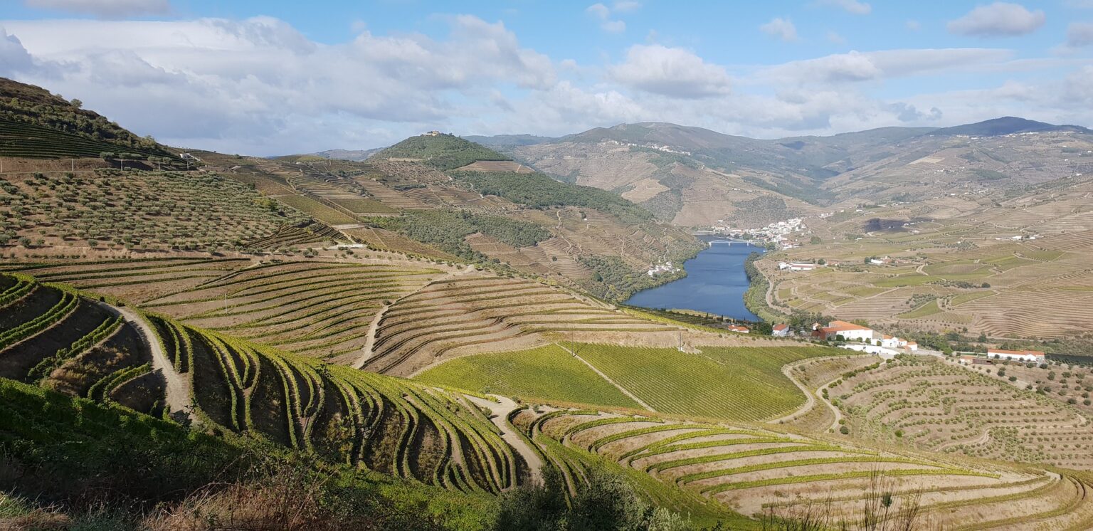 Wines of the Douro Valley