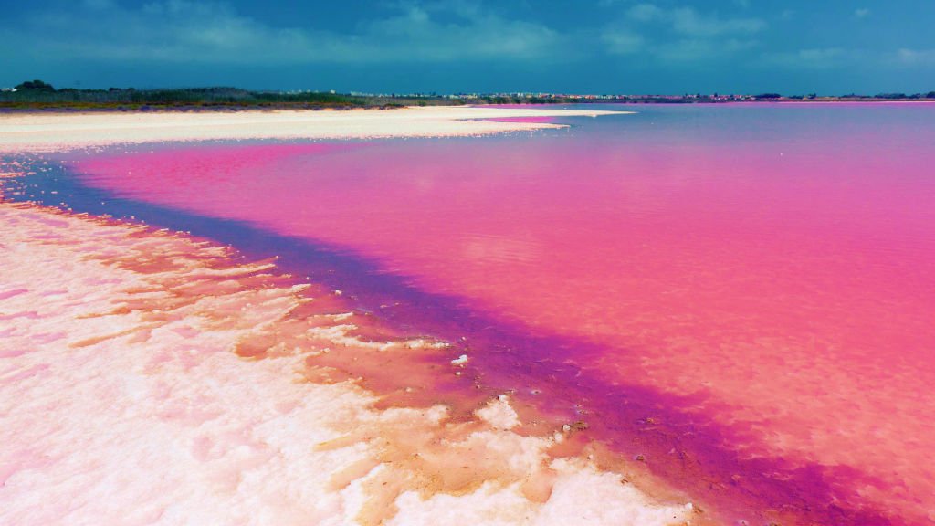 Rosy Waters of Lake Retba