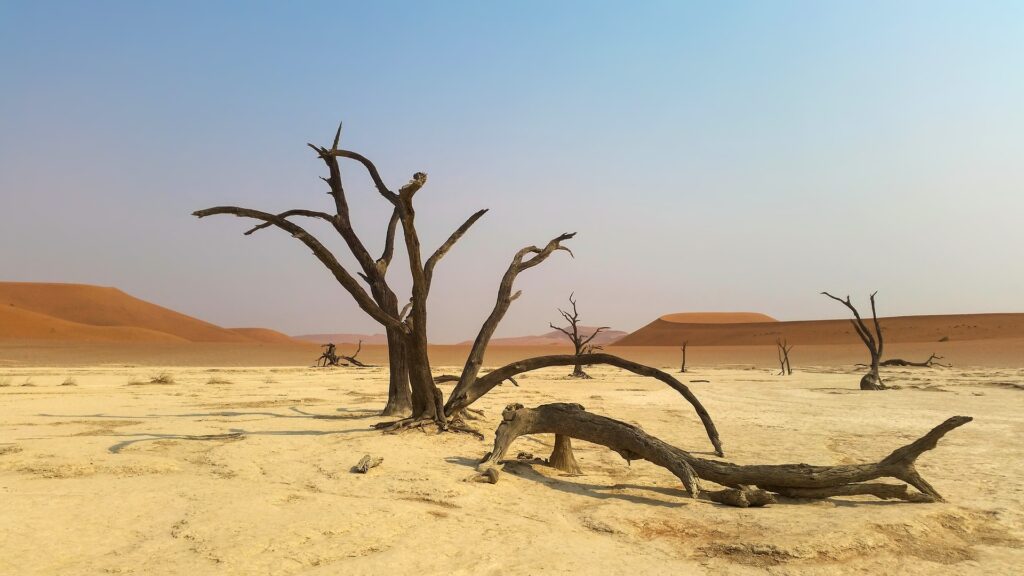 Namib, Africa's Oldest Desert