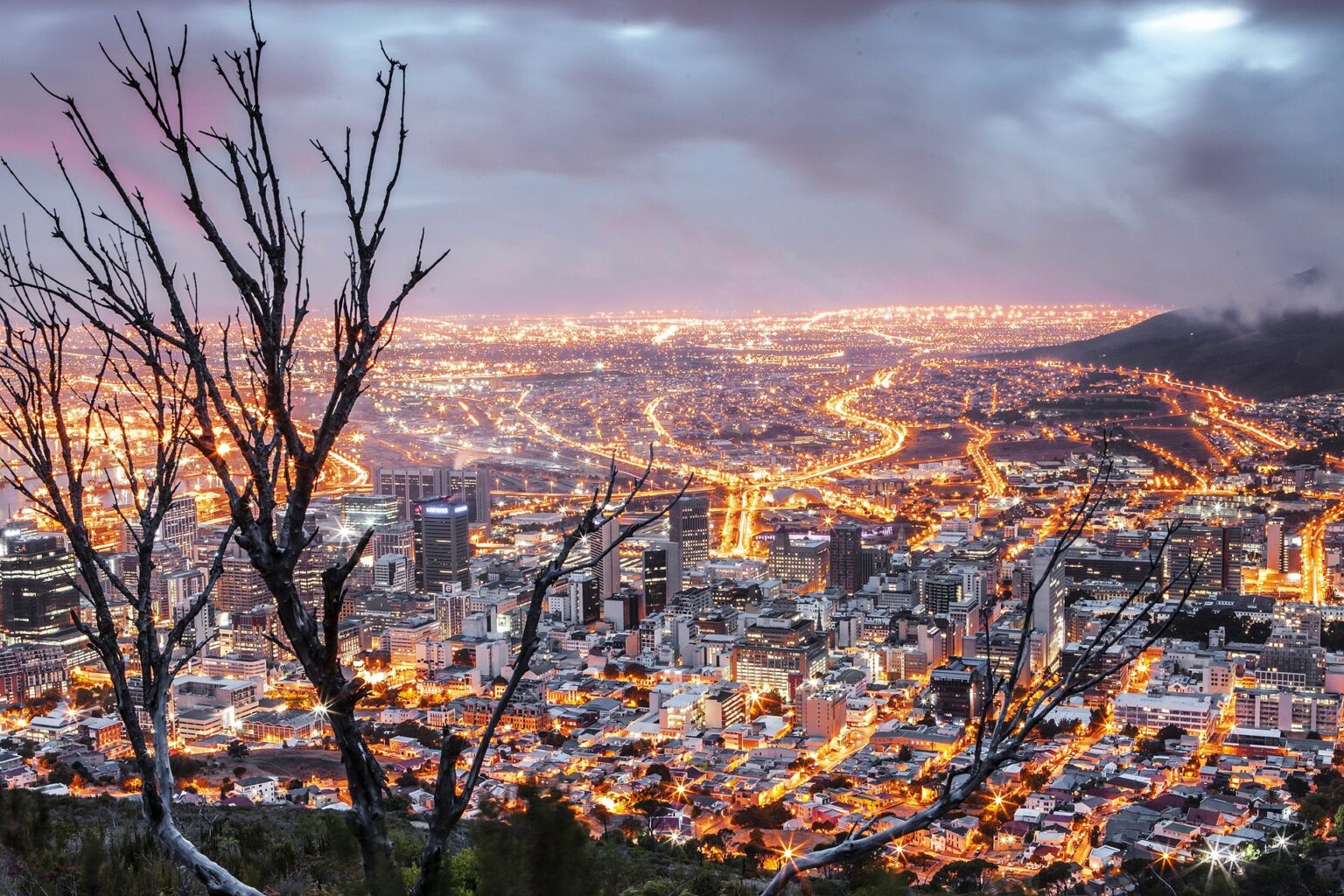 Cape Town's Delights