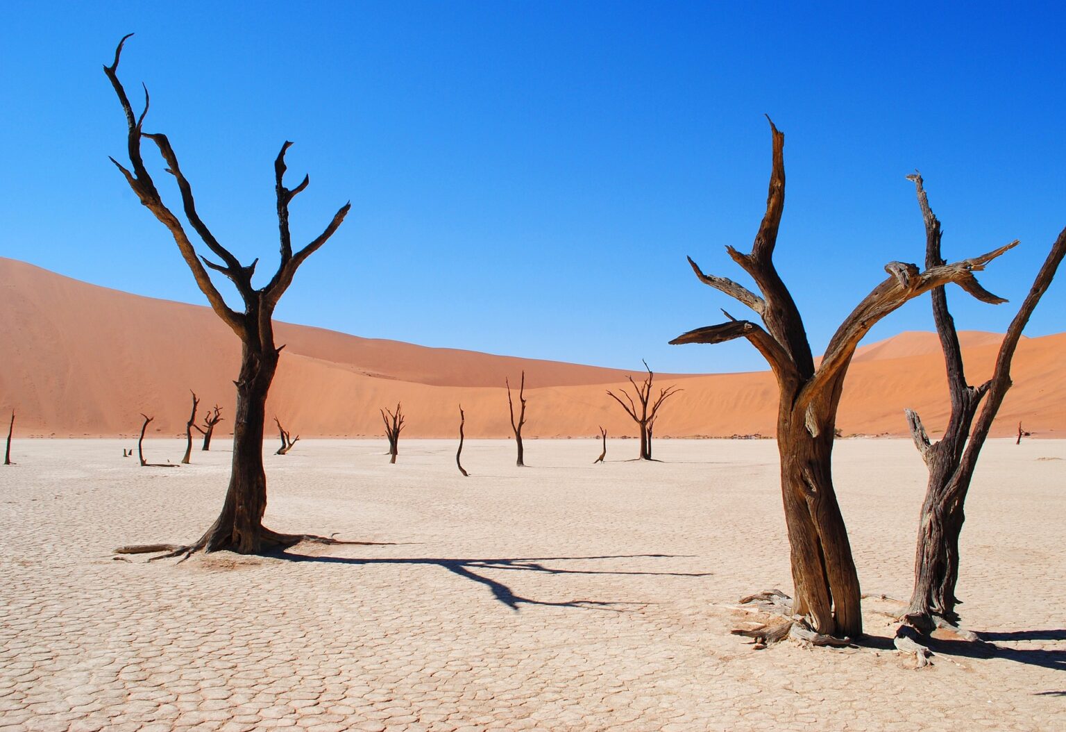 Namib, Africa's Oldest Desert