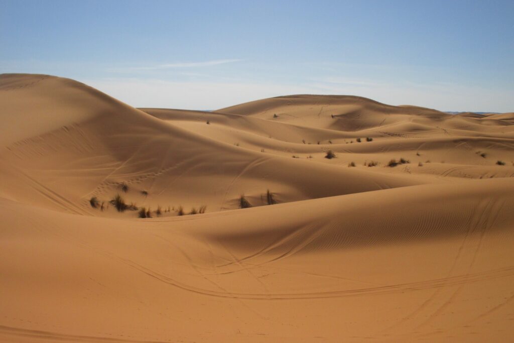 Crossing the Sahara Dreamscape
