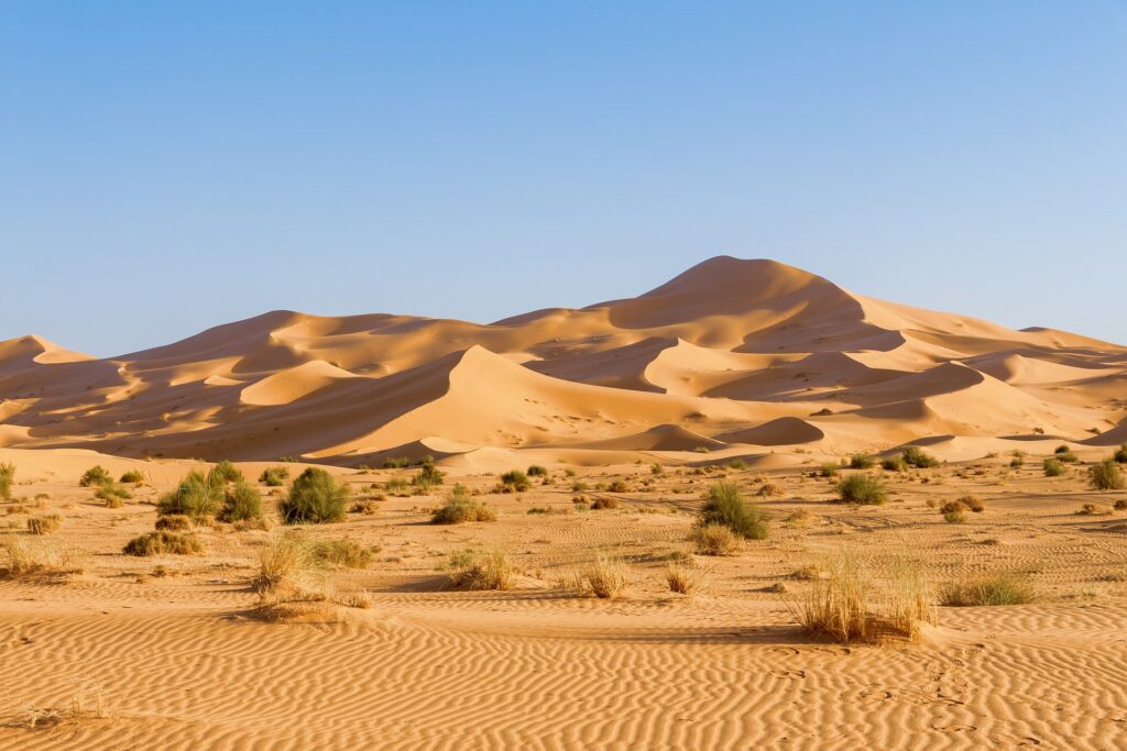 Sahara Dreamscape