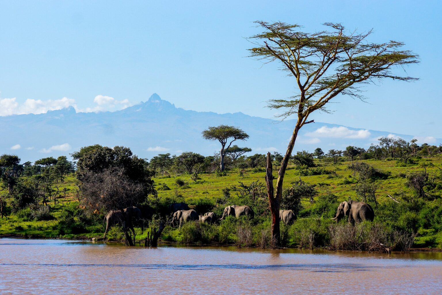 Laikipia