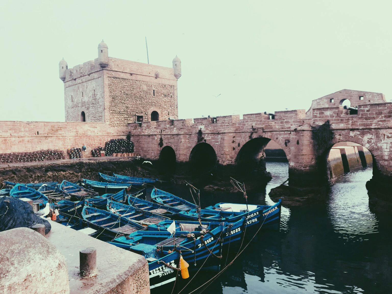 Elegance of Essaouira