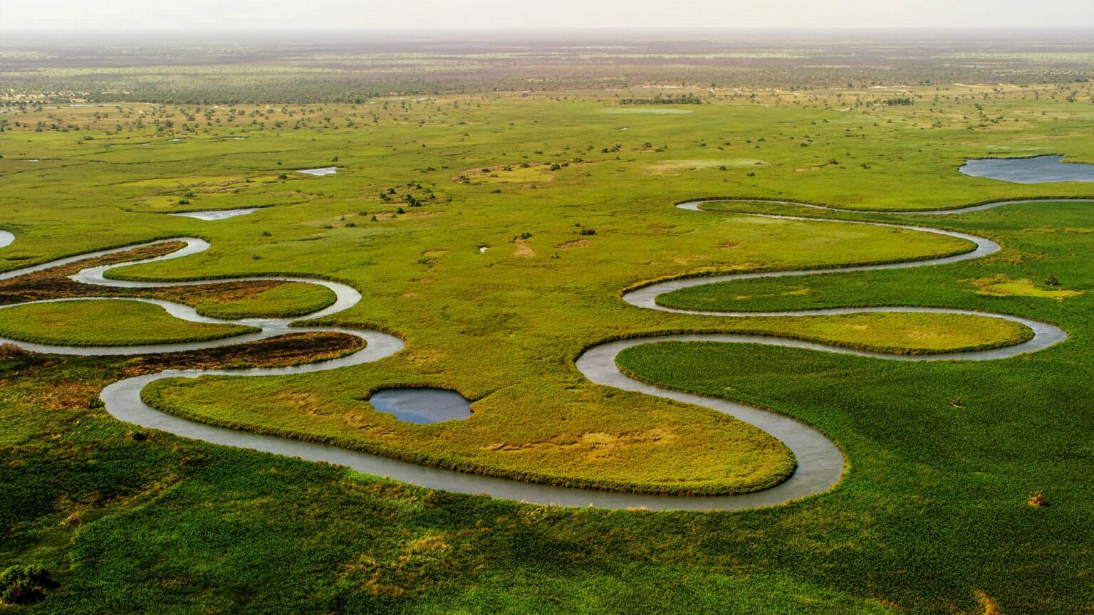 Wilderness of Okavango Delta
