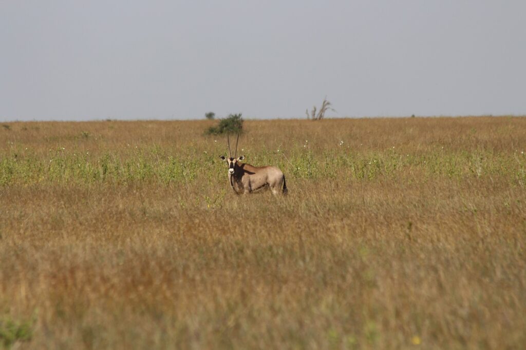 Laikipia Plateau