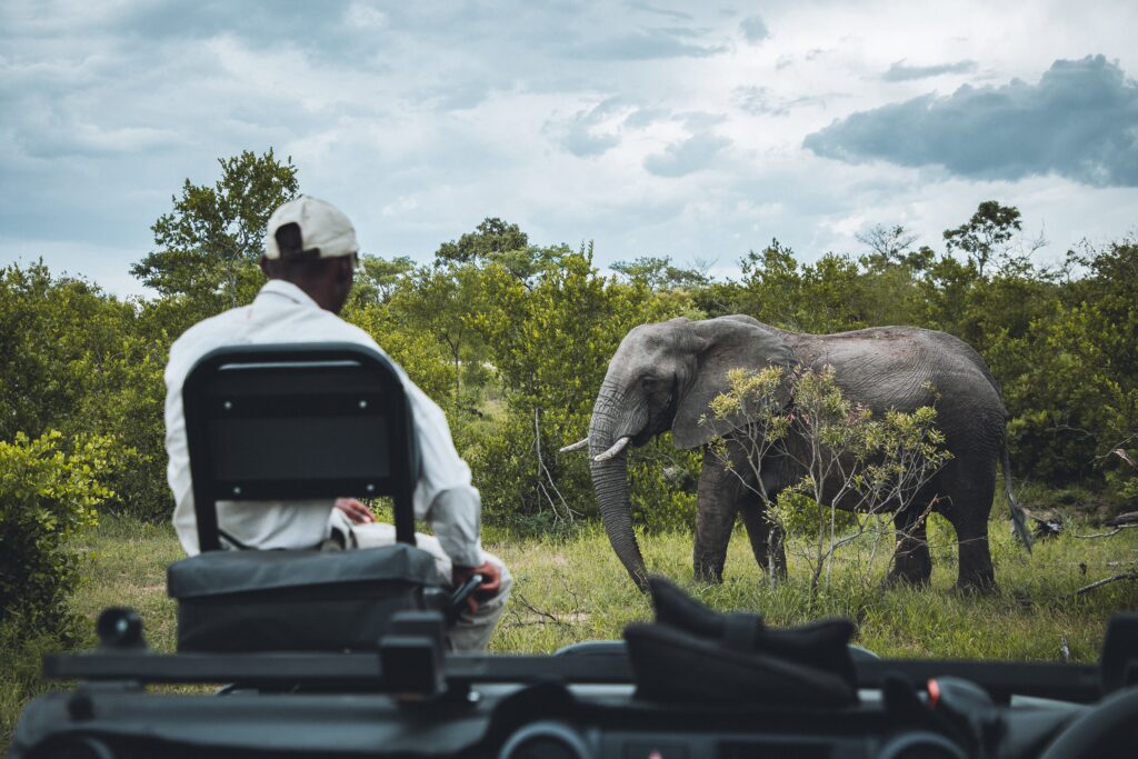  game drives