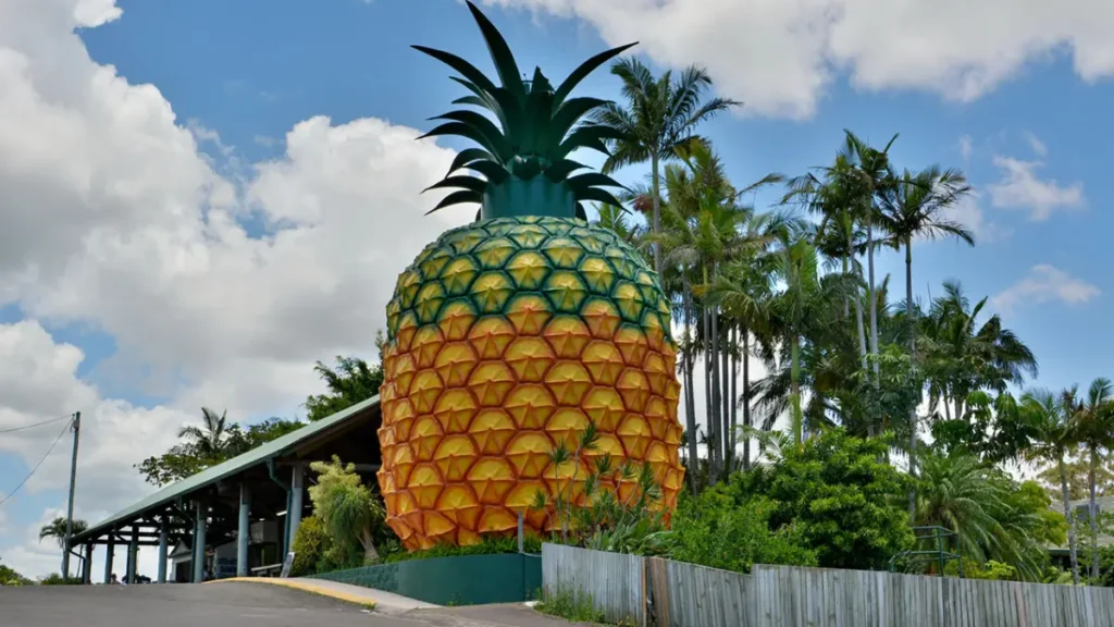 Big Pineapple, Sunshine Coast