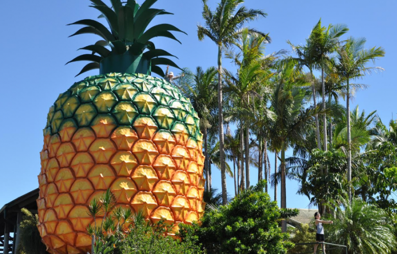 Big Pineapple on the Sunshine Coast
