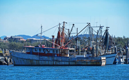 Coffs Harbour