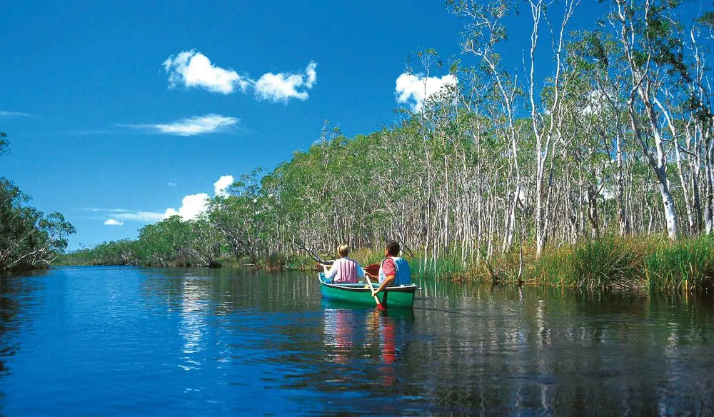 Noosa Everglades 