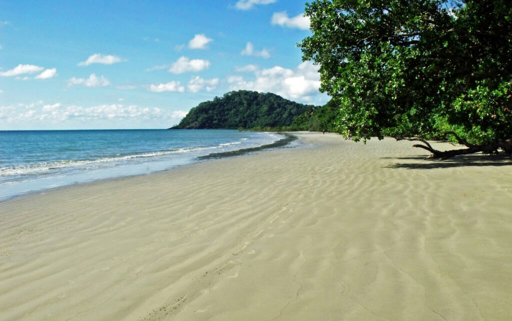 Cape Tribulation