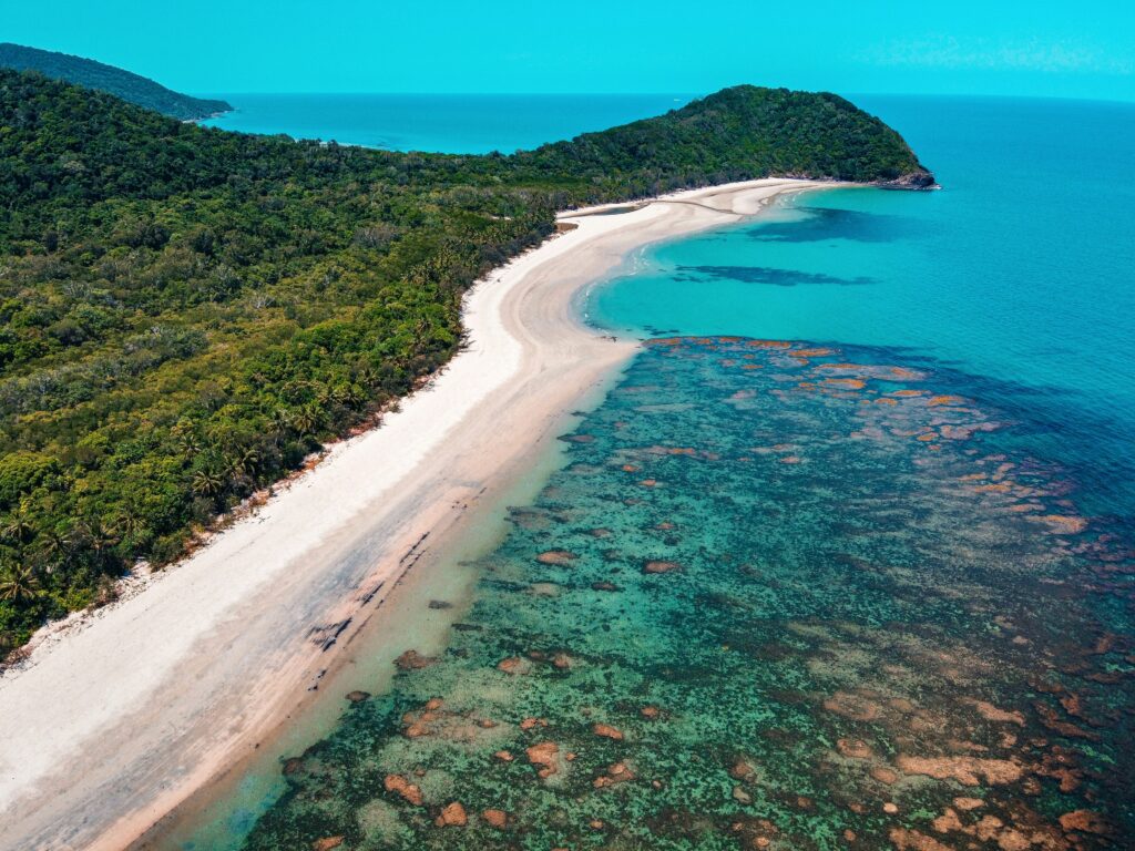  Daintree Rainforest,