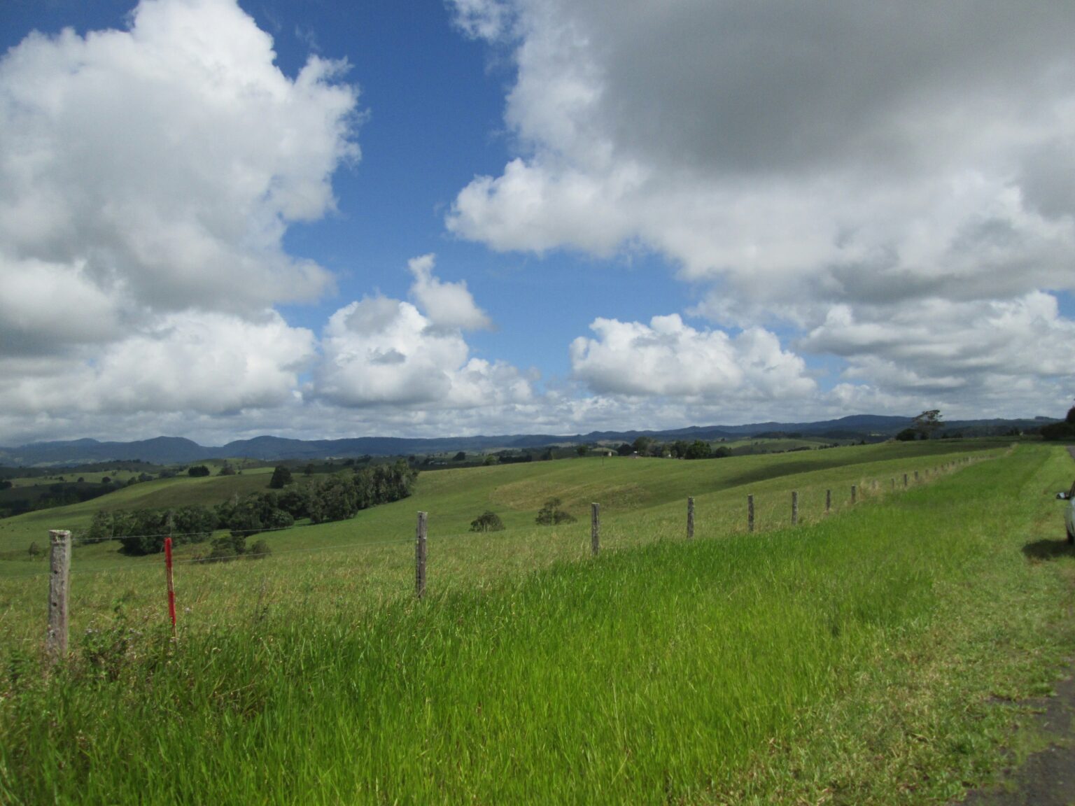 Charms of the Atherton Tablelands