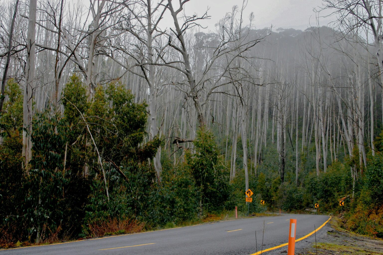 The Great Alpine Road