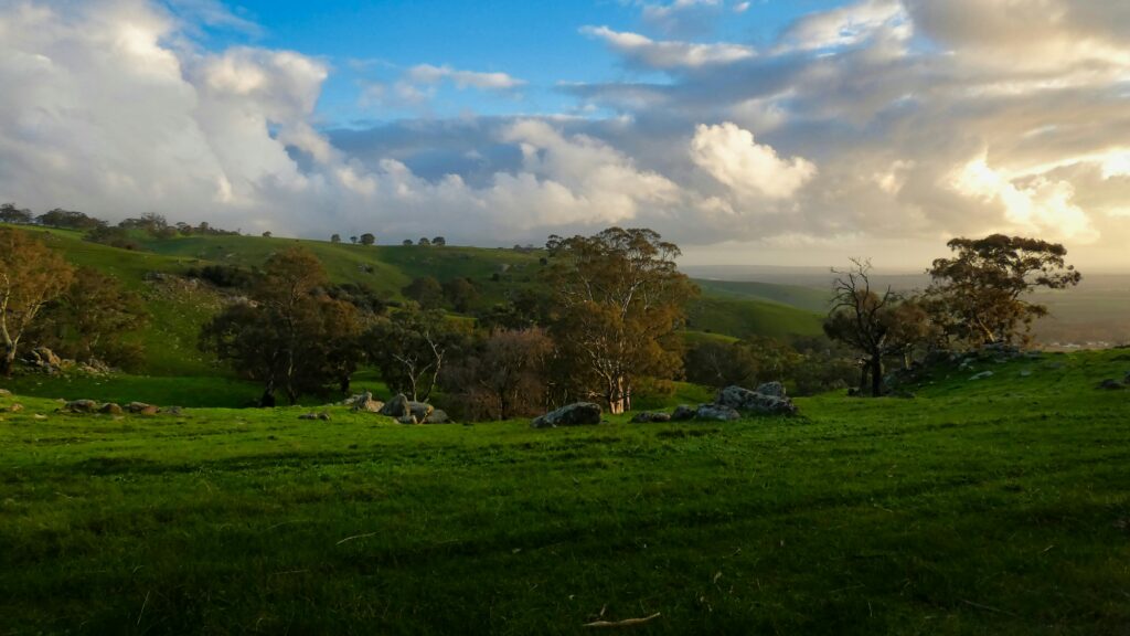 Barossa Valley