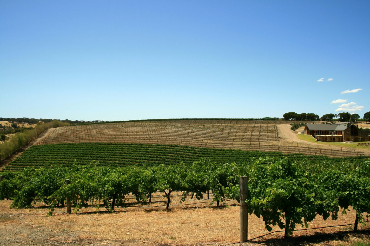 Barossa Valley Wine Region