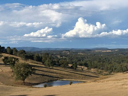 Write a FAQ For Exploring the Scenic Delights of the Yarra Valley