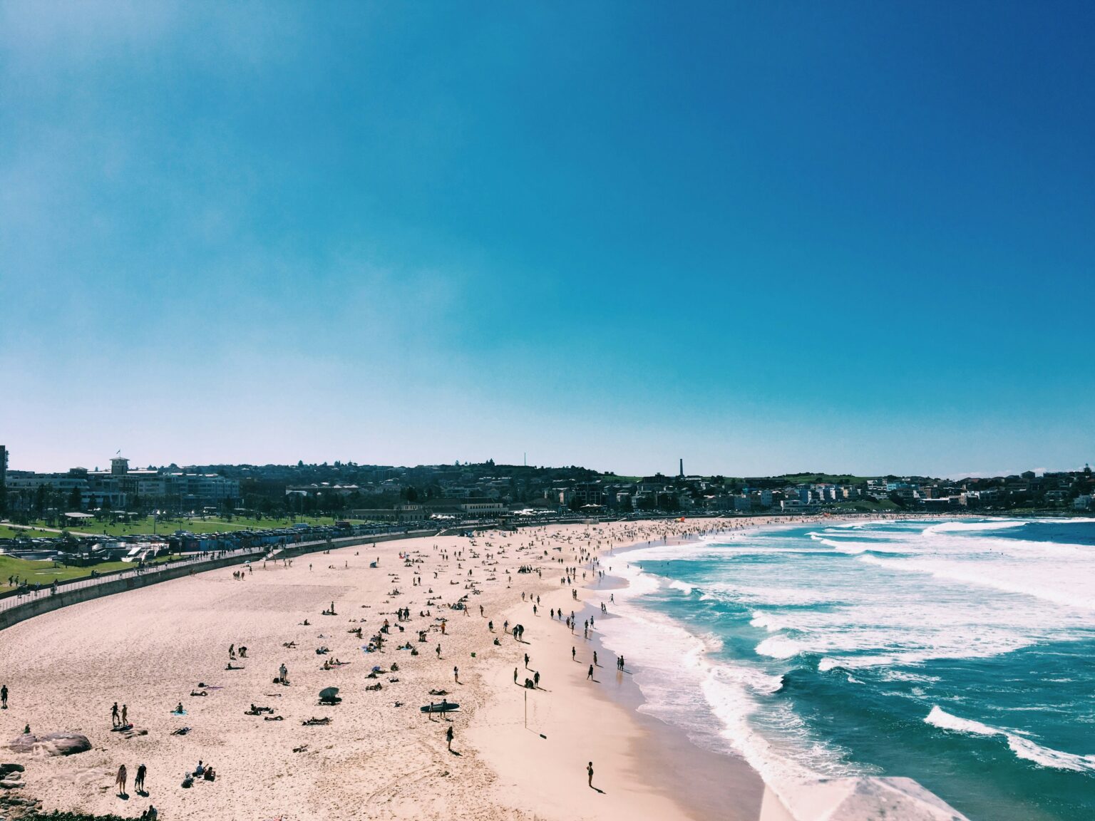 Sun-Kissed Beauty of Bondi Beach