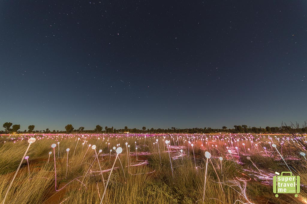 The Field of Light Uluru