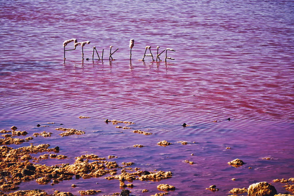 Pink Lake in Port Gregory