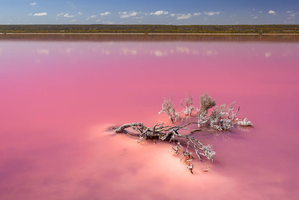 Pink Lake,