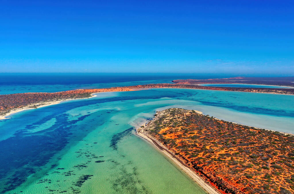 Shark Bay 