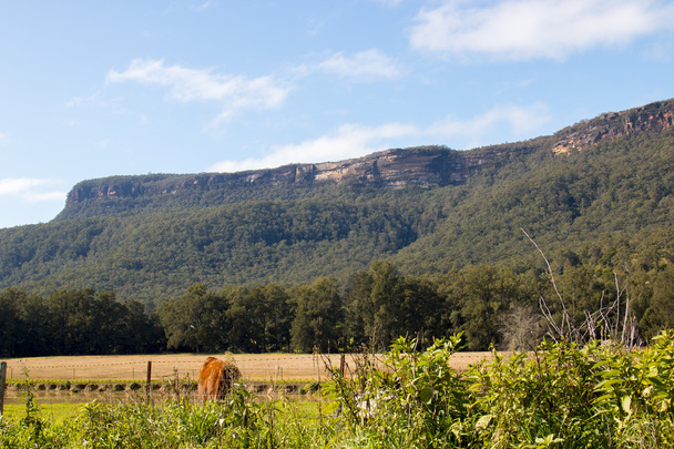 kangaroo-valley