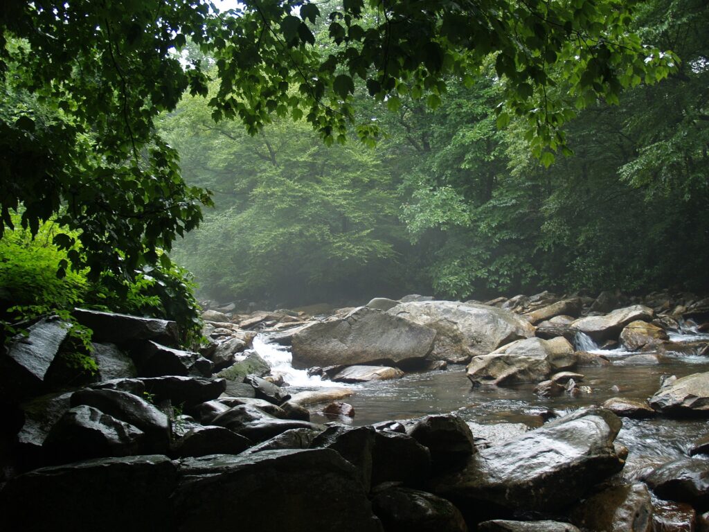 Gatlinburg