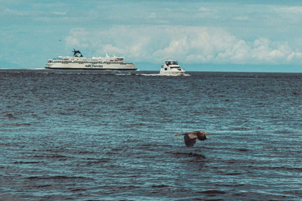 Salish Sea 