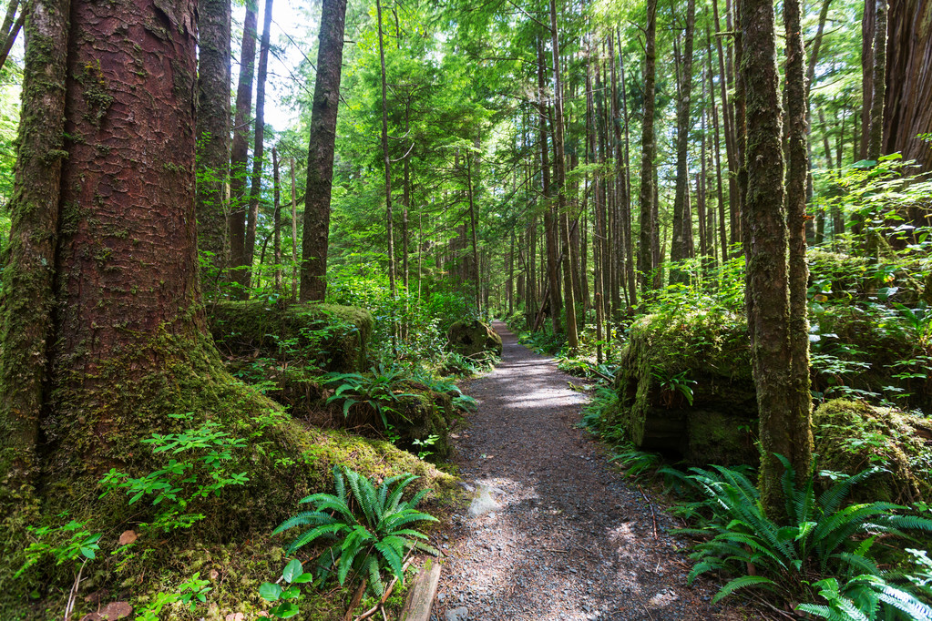 Vancouver Island