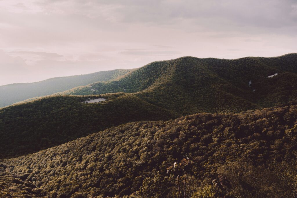 Shenandoah National Park.